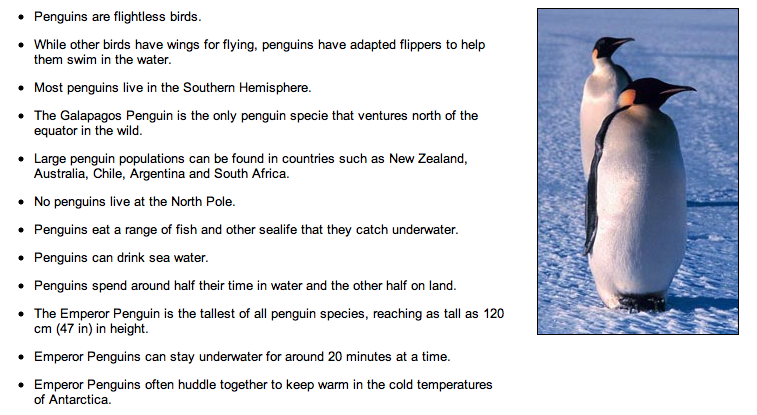 Penguins KS1 Topics Resources TeachingCave