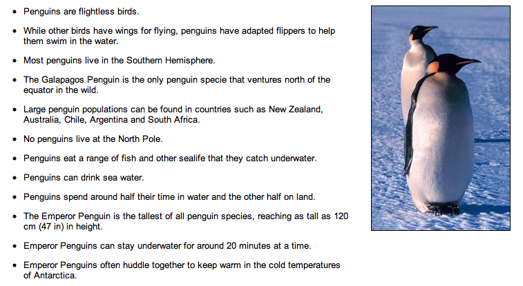 Penguin Facts For Kids